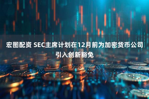 宏图配资 SEC主席计划在12月前为加密货币公司引入创新豁免