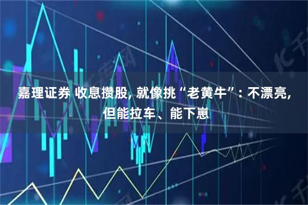 嘉理证券 收息攒股, 就像挑“老黄牛”: 不漂亮, 但能拉车、能下崽